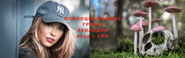 прущие грибы Алексеевка