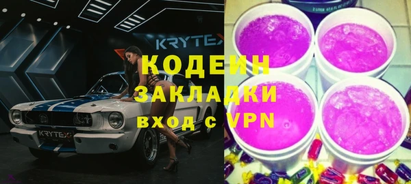 прущие грибы Алзамай