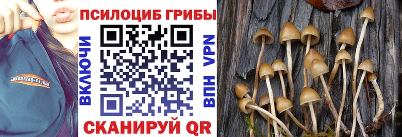 Галлюциногенные грибы MAGIC MUSHROOMS как найти Рубцовск